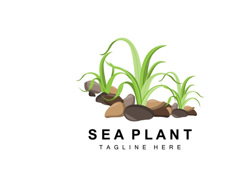 Seaweed Logo, Sea Plants Vector Design, Grocery And Nature Protection