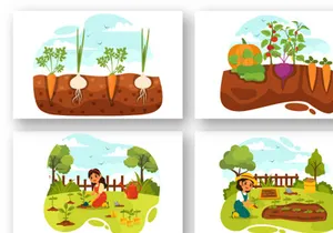 11 Growing Vegetables Illustration