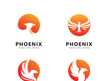 Phoenix logo vector template  design