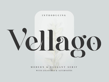 Vellago Stylish Ligature Serif Font preview picture