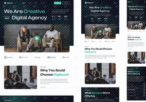 Digiboost - Landing Page for All Agency