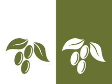 olive icon vector illustration design template