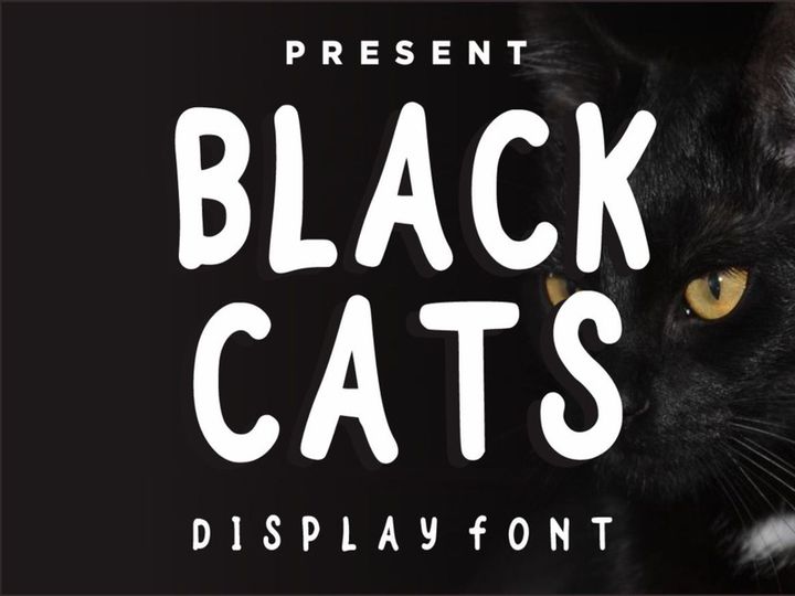 Black Cats