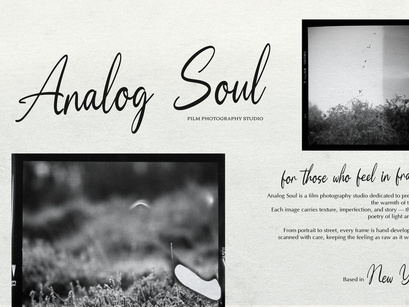 Moonlit Muse | Handwritten Script Font