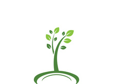 Logos of green Tree leaf ecology nature element vector