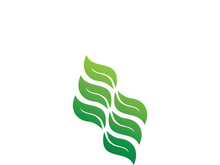 Logos of green tree leaf ecology nature element vector