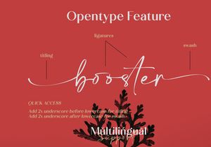 Calton Elegance Font Duo