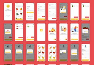 Grocery Delivery App