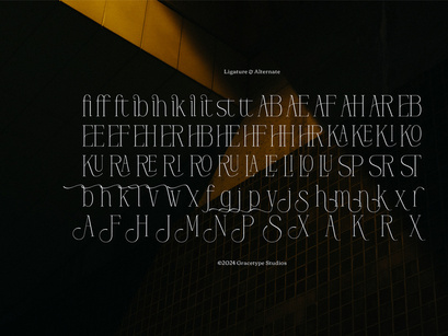 Hustasea | Modern Display Serif