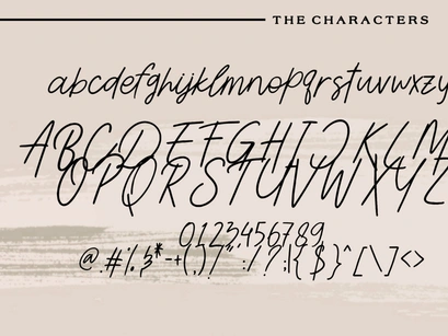 Wonderland - An Elegant Script Font