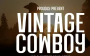 Vintage Cowboy - Bold Vintage Sans Serif