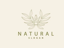 Leaf Line Logo, Beautiful Hand Drawn Design