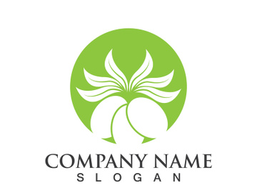 Extra virgin olive oil logo icon design vector illustration preview picture