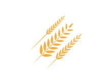 Agriculture wheat rice icon illustration