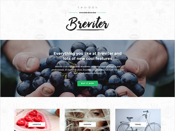 Breviter Creative PSD Template preview picture