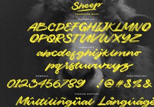 Sheep | Dry Brush Script Font