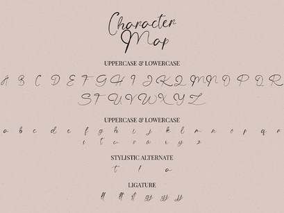 The Angellica - Modern Calligraphy Font