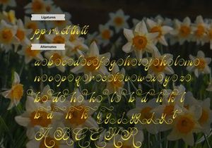 Kasfia Sirius | Classic Script