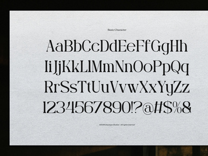 Rubington | Modern Display Serif