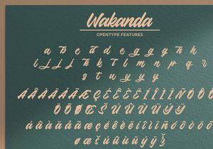 Wakanda - Bold Script Font