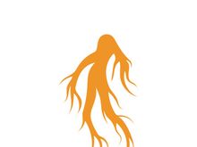 Ginseng logo design template and symbol icon vector illustration