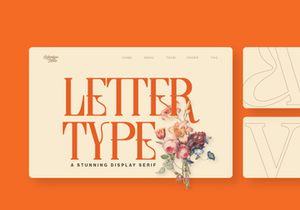 Lettertype – Editorial 90s Serif Font with Alternates