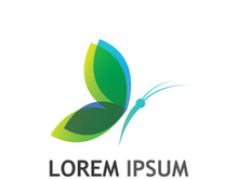 Beautiful and colorful butterfly creative logo design.