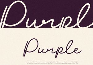 Blush - Script Font