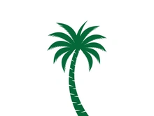 Palm tree summer logo template vector illustration