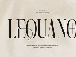 Lequano | New Display Serif preview picture