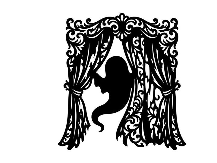 Silhouette of a seahorse behind ornate curtain with elegant design