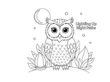 Cute owl lighting night path vector illustration flat design