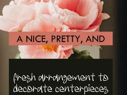 ADHAESS – Modern Casual Handwritten Font (OTF)