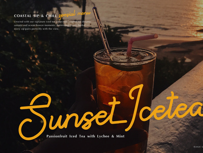 Paradise Gallaiso | Monoline Script Typeface