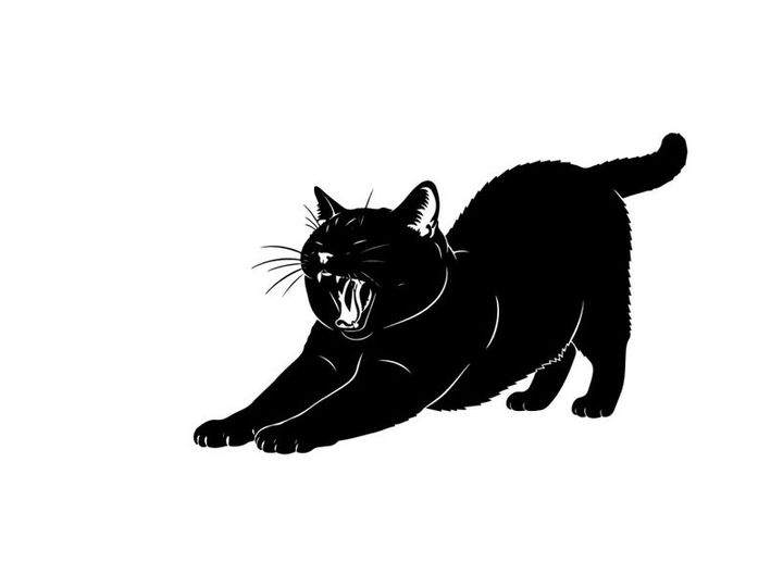 Black cat silhouette in a threatening posture silhouette