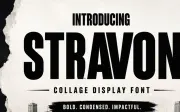 STRAVON