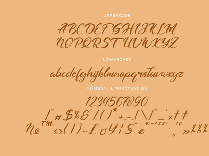 Dashtlyn Script Font