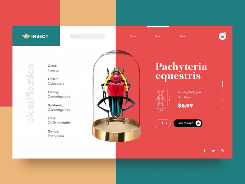 Insect Landing Page Design