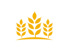 Agriculture wheat rice icon illustration