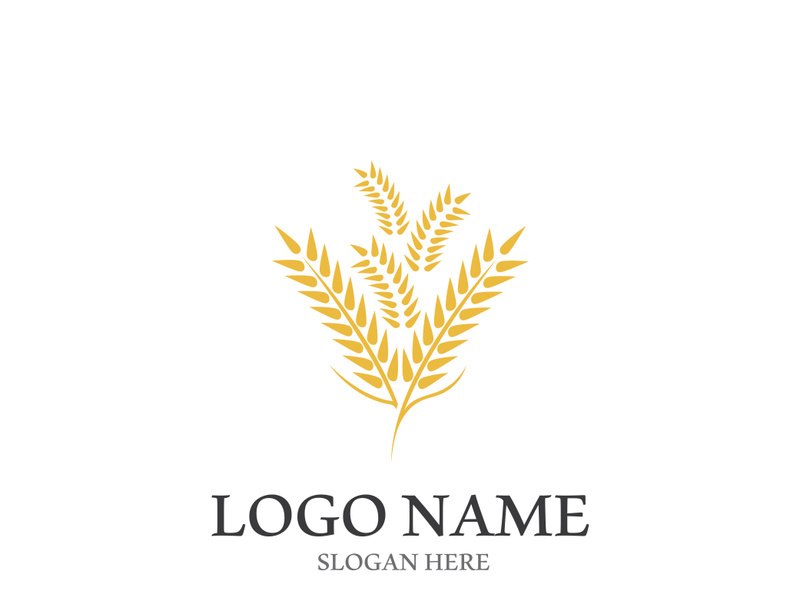 Wheat logo vector icon illustration design