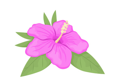 Hibiscus flower blooming semi flat color vector object preview picture
