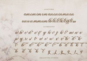 Royallique | Classic Calligraphy