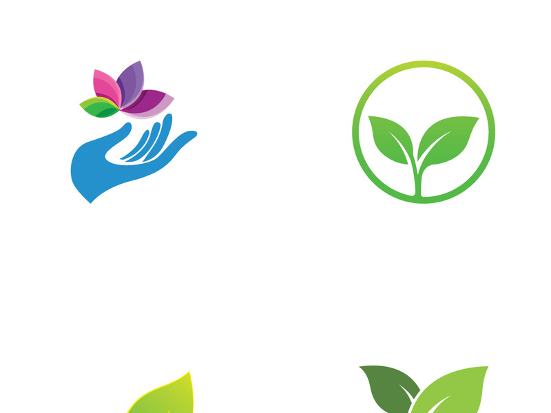 Natural green leaf logo design.