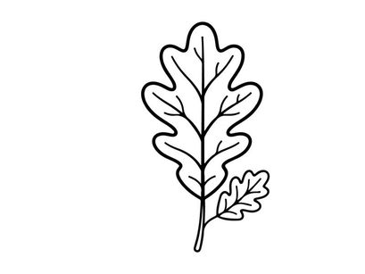 Desenho de linha simples de uma folha de carvalho. Ilustração botânica minimalista para temas naturais.
