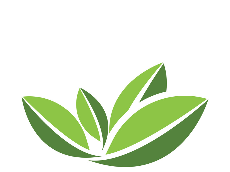 Logos of green tree leaf ecology nature element vector