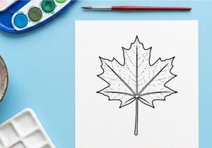 Close-up of a detailed maple leaf. Natural autumn foliage in bright daylight