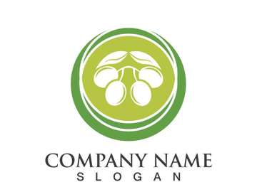 Extra virgin olive oil logo icon design vector illustration preview picture