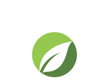 Logos of green Tree leaf ecology
