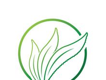 Aloe Vera logo icon design symbol beauty skin care