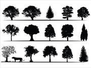 Trees Silhouettes Collection